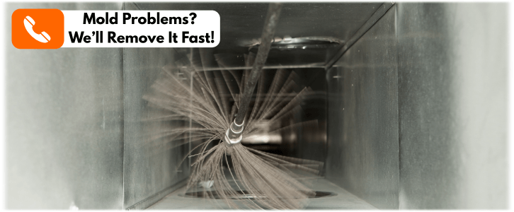 Air Duct Mold Removal in Danvers MA