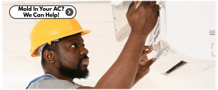 HVAC Mold Removal Danvers MA
